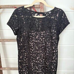 LOFT Black Lace Dress Size 8